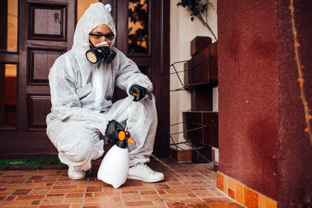 Reliable Wasp Removal contractor in Mapleton, UT by Show Me Pest Control